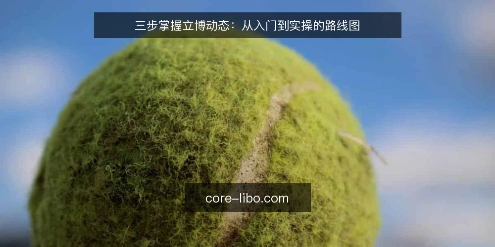 三步掌握立博动态：从入门到实操的路线图 — 第一步：建立立博基础认知 配图