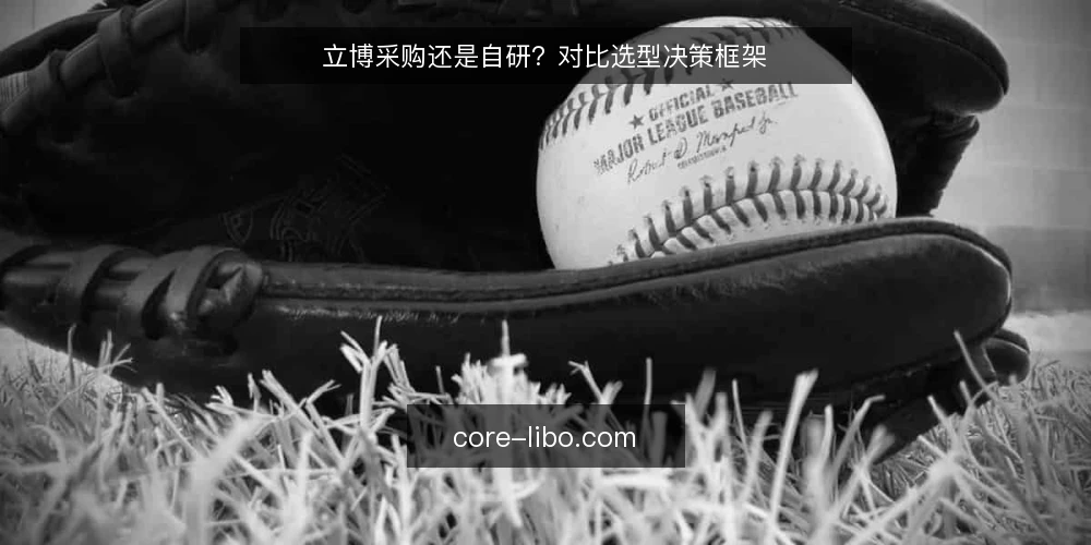 立博采购还是自研?对比选型决策框架 — 需求定义:先明确业务边界 配图