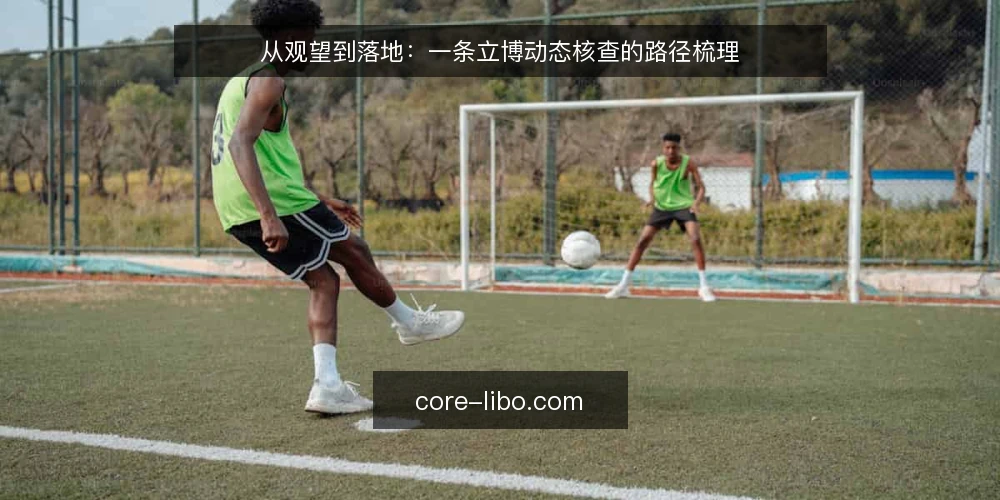从观望到落地：一条立博动态核查的路径梳理 — 需求界定：为什么需要一套核查路径 配图