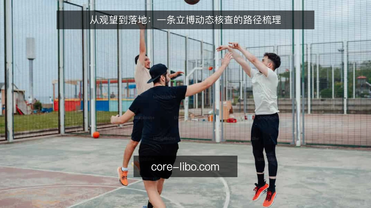 从观望到落地：一条立博动态核查的路径梳理
