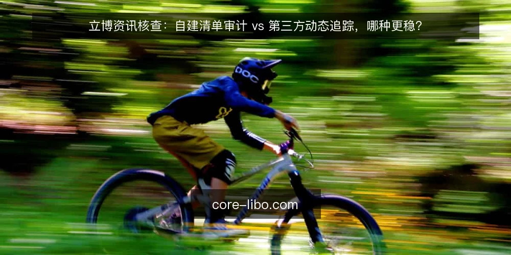 立博资讯核查：自建清单审计 vs 第三方动态追踪，哪种更稳？ — 为什么现在需要核查立博资讯 配图