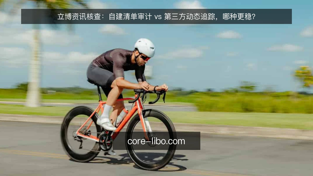 立博资讯核查：自建清单审计 vs 第三方动态追踪，哪种更稳？