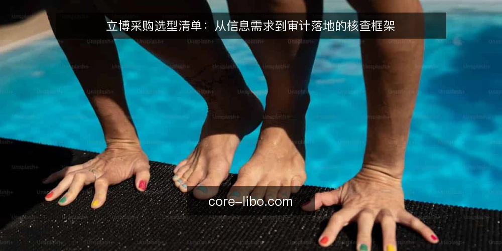 立博采购选型清单：从信息需求到审计落地的核查框架 — 为什么现在需要审计立博信息核查 配图