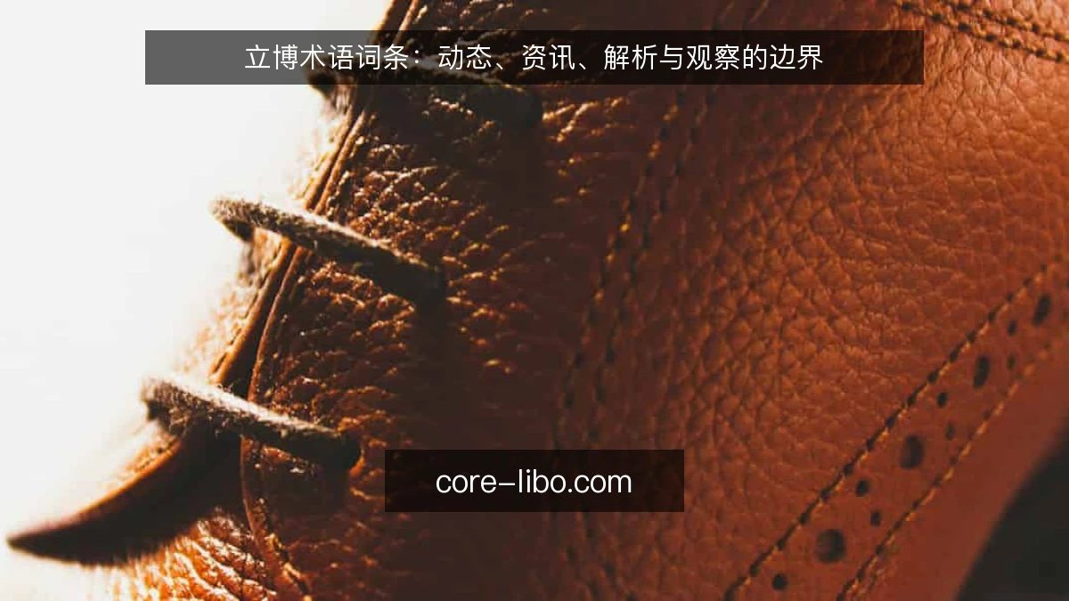 立博术语词条：动态、资讯、解析与观察的边界