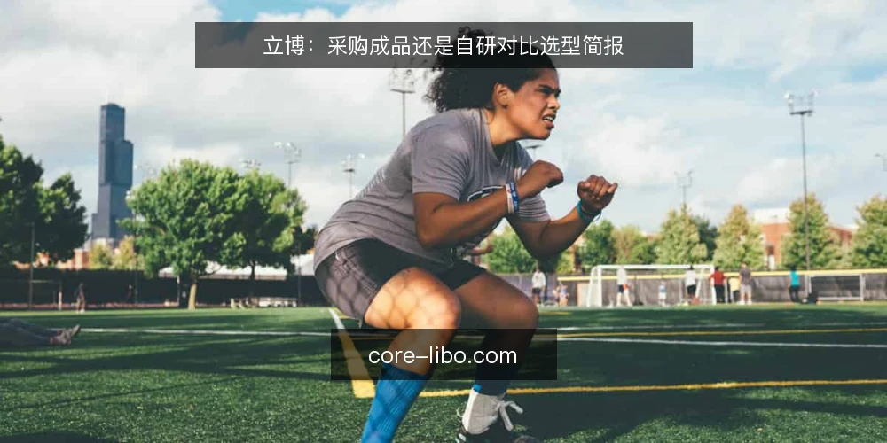 立博：采购成品还是自研对比选型简报 — 先定义立博的选型需求 配图