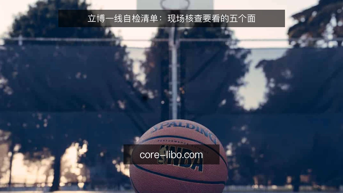立博一线自检清单:现场核查要看的五个面