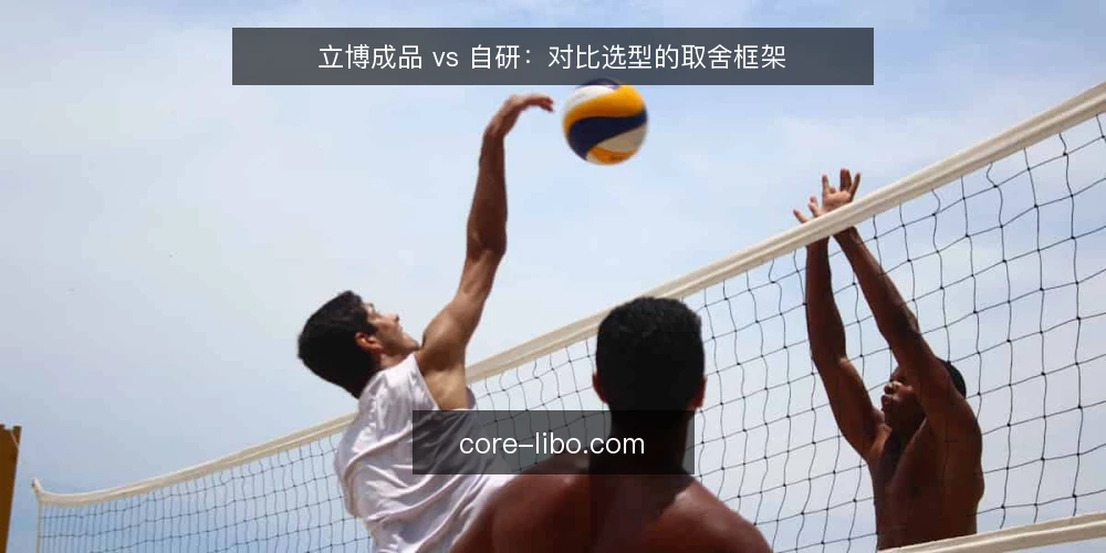 立博成品 vs 自研：对比选型的取舍框架 — 先定对比标准 配图