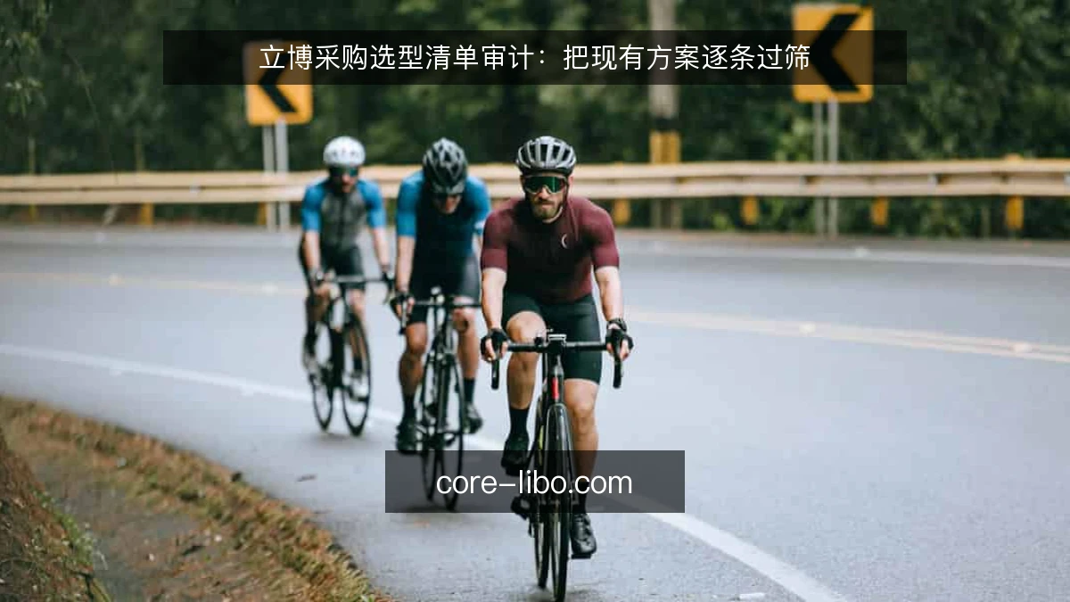 立博采购选型清单审计：把现有方案逐条过筛