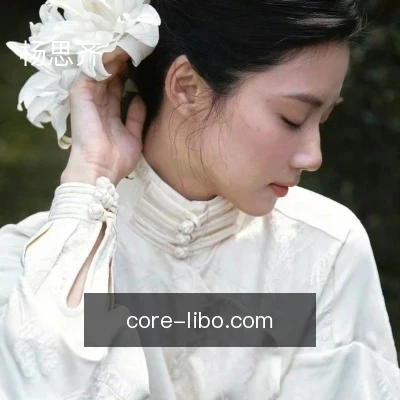 杨思齐